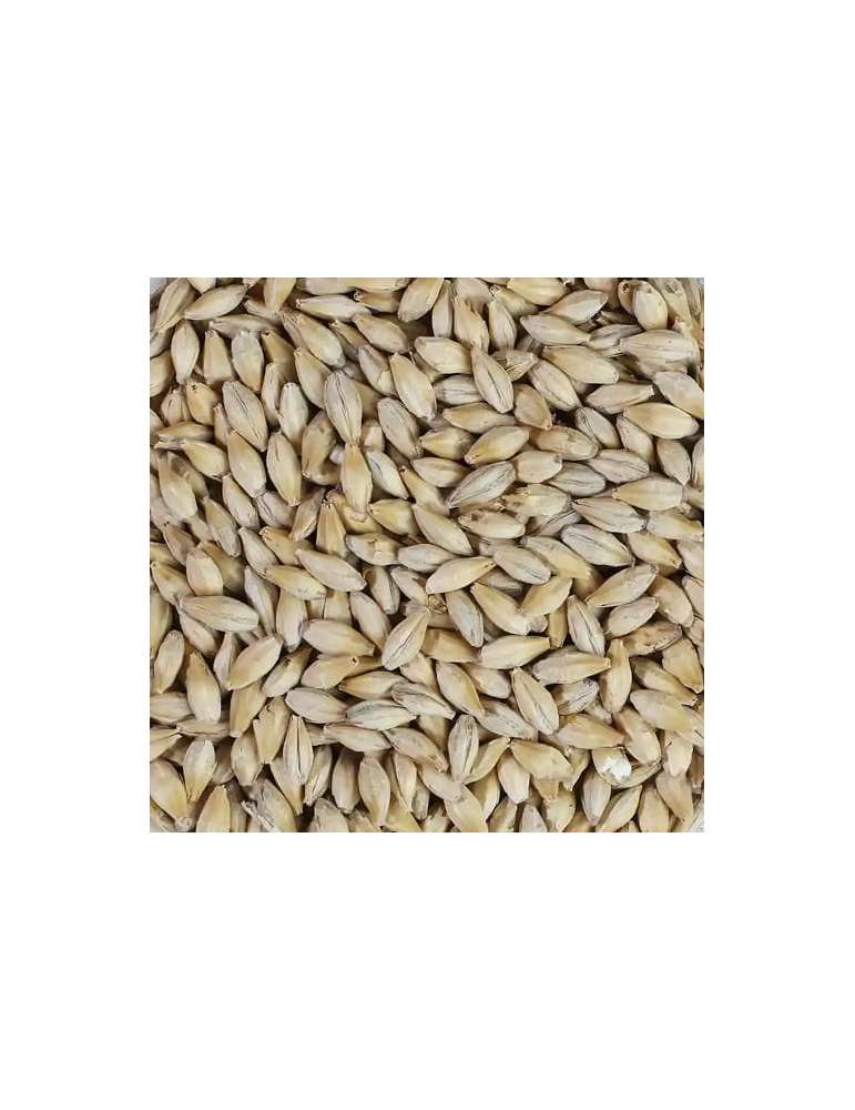 Malt Pale 5kg