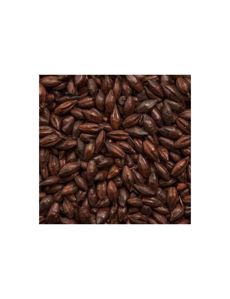 Roasted Barley Malt