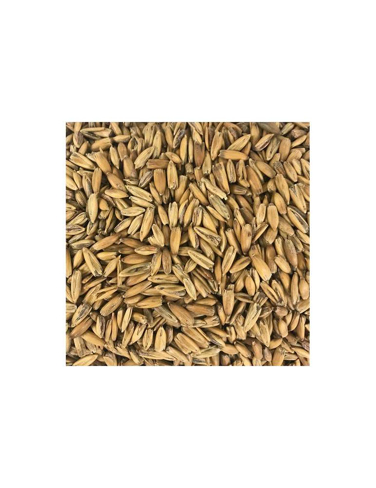 Malta Avena 500gr